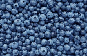Blueberry Recall